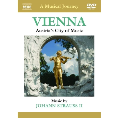Afbeelding van Various Artists A Musical Journey: Vienna (DVD)