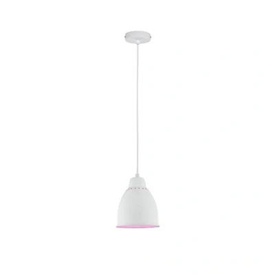 Afbeelding van PAULMANN 79764 Hanglamp E27 Wit