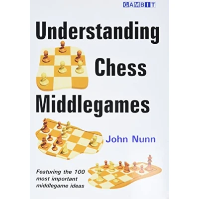Afbeelding van Understanding Chess Middlegames