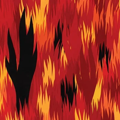 Afbeelding van Bright Eyes People&#039;s Key (LP)