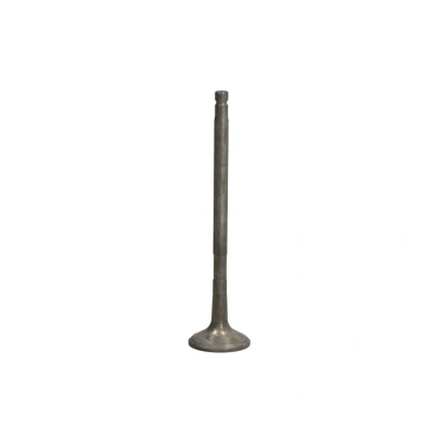 Afbeelding van FRECCIA R6285/RNT Uitlaatklep 26 Klepsteel met nitraat verzien