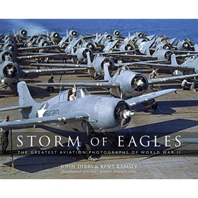 Afbeelding van Storm of Eagles
