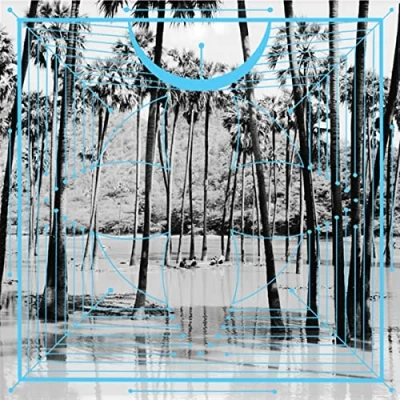 Afbeelding van Four Tet Pink (2 LPs)