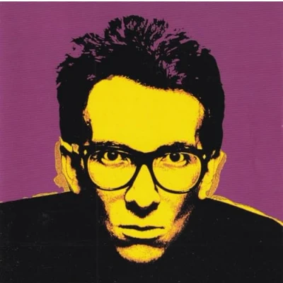 Afbeelding van Elvis Costello Very Best of (Cd)