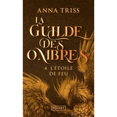 Image de La Guilde des ombres Tome 4 L&#039;Etoile de Feu