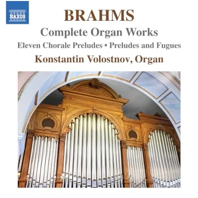 Afbeelding van Konstantin Volostnov Brahms: Complete Organ Works (CD)