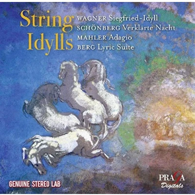 Afbeelding van Orchestre Symphonique De La Columbi String Idylls (CD)