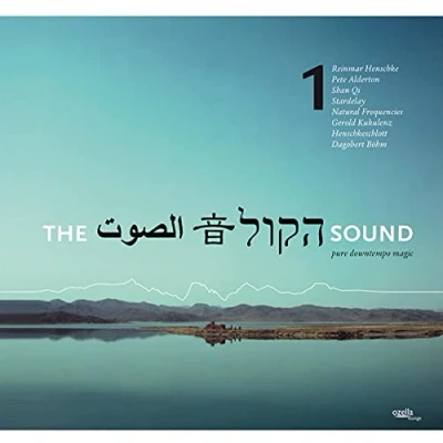 Afbeelding van Various Artists The Sound Vol 1 (CD)