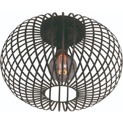 Afbeelding van Agila Plafondlamp 1 lichts d:40cm zwart Modern Freelight