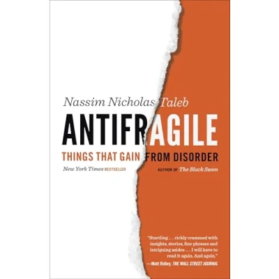 Afbeelding van Antifragile