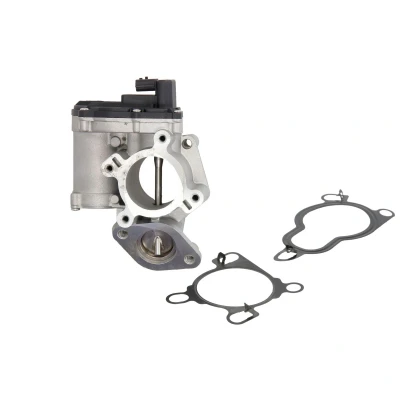 Afbeelding van AUTLOG AV6084 EGR klep Electrisch Magneetklep RENAULT: LAGUNA 3, ESPACE 4, TRAFIC 2 Kasten, OPEL: Movano B Minibus, Vivaro A Combi, Van