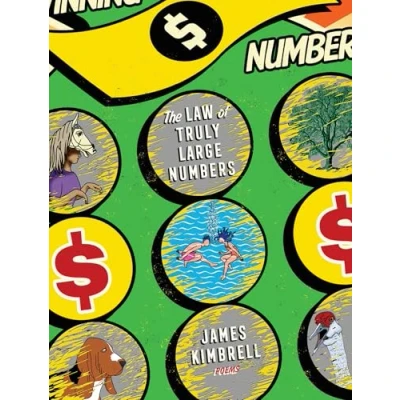 Afbeelding van The Law of Truly Large Numbers