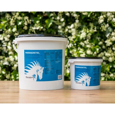 Image de Chardon Marie Cheval 1000 gr. Epices