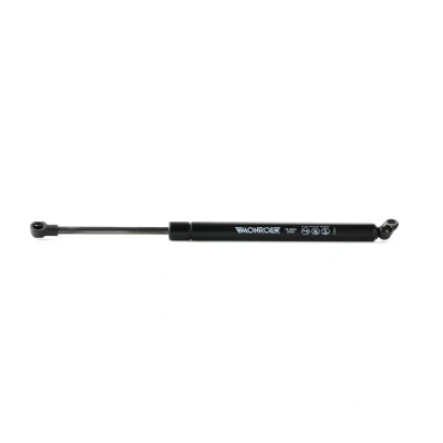 Afbeelding van Monroe Gasveer ML5590