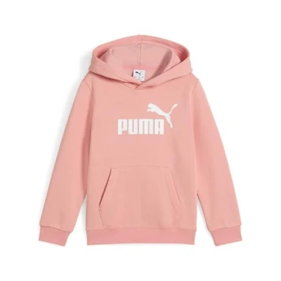 Image de Hoodie molletonnÃ© Ã  logo NÂÂ 1 ESS Enfant