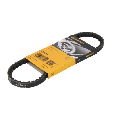 Afbeelding van V riem CONTINENTAL CTAM 11,9X806Ld