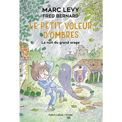 Afbeelding van Le Petit voleur d&#039;ombres La Nuit du grand orage