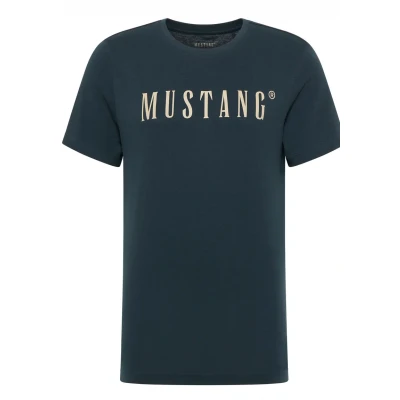 Afbeelding van MUSTANG Style Austin T shirt voor heren, Carbon 4135, XL