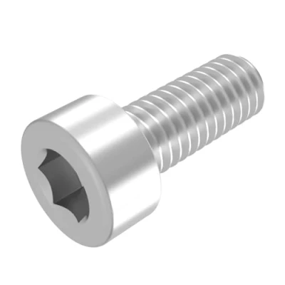 Afbeelding van SECCARO Set van 20 cilinderschroeven M2 x 5 mm roestvrij staal V2A VA A2 DIN 912 / ISO 4762 binnenzeskant volledige schroefdraad