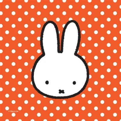 Image de NAPKIN MIFFY Party 25x25cm 20 pièces