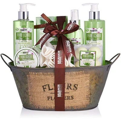 Afbeelding van BRUBAKER Cosmetics Bad en Doucheset Aloe Vera Cadeautip Vrouw Cadeau Idee 11 delige Cadeauset in Vintage Badkuip Moederdag cadeautje
