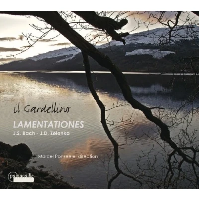 Afbeelding van Il Giardellino, Marcel Ponseele Bach/Zelenka: Lamentations (CD)