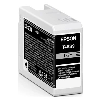 Image de Cartouche d&#039;encre Epson T46S9 25 ml Gris anthracite