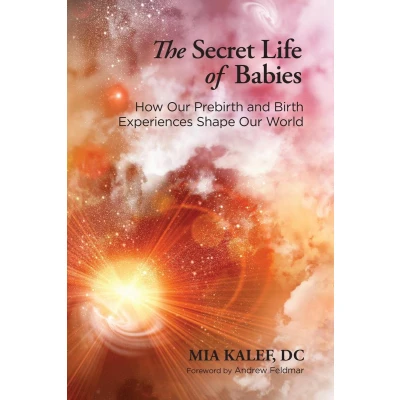 Afbeelding van The Secret Life of Babies