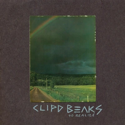 Afbeelding van Clipd Beaks To Realize (CD)