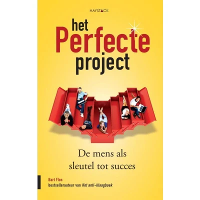 Afbeelding van Het perfecte project