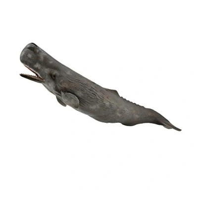 Afbeelding van Collecta Zeedieren Potvis 24 Cm