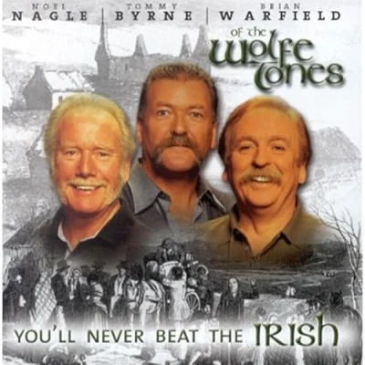 Afbeelding van You Ll Never Beat The Irish