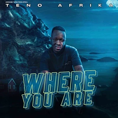 Afbeelding van Teno Afrika Where You Are (LP)