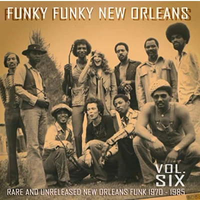 Afbeelding van Various Artists Funky New Orleans Vol. 6 (LP)