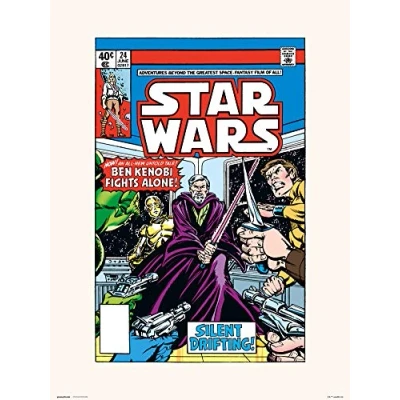 Afbeelding van Disney STAR WARS 24 SILENT DRIFTING Art Print 30x40 cm