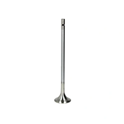 Afbeelding van TRW Engine Component Uitlaatklep 48328
