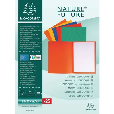 Image de Paquet de 25 chemises lustro carte 225gm² 24x32cm