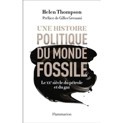 Image de Une histoire politique du monde fossile