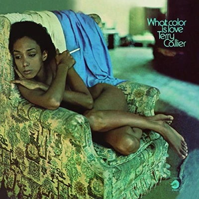 Afbeelding van Terry Callier What Color is Love (LP)