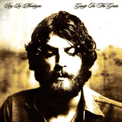 Afbeelding van Ray Lamontagne Gossip In The Grain (CD)