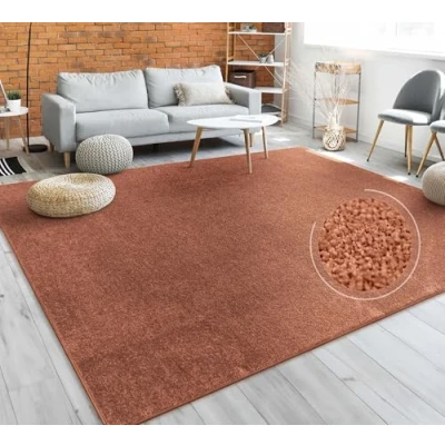 Afbeelding van Paco Home Vloerkleed Woonkamer Effen Eenvoudig En Modern Laagpolig, Versch. Afmetingen Kleuren 140x200 cm