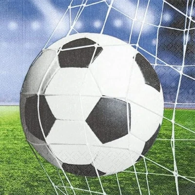 Afbeelding van Set van 20 servetten voetbal op net voor kinderverjaardag jongens wereldkampioenschap wereldbeker tafeldecoratie decoupage servetechniek 33 x cm