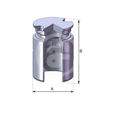 Afbeelding van AUTOFREN SEINSA D02523 Zuiger, remklauw 34 Achteras BOSCH