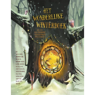Afbeelding van Het wonderlijke winterboek