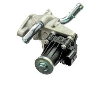 Afbeelding van DELPHI EG10551 12B1 EGR klep Zonder AGR koeler FORD: Transit Custom V362 Minibus