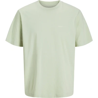 Afbeelding van Jack &amp; Jones Tshirt print, Heren, Maat: XXL, Celadon tint