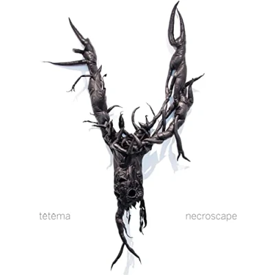 Afbeelding van Tetema Necroscape (LP)