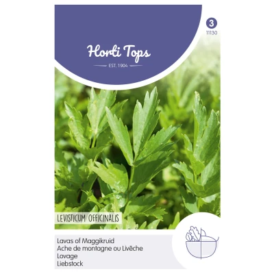 Afbeelding van Lavas maggiplant Hortitops