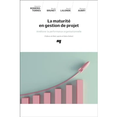 Afbeelding van LA MATURITE EN GESTION DE PROJET AMELIORER PERFORMANCE