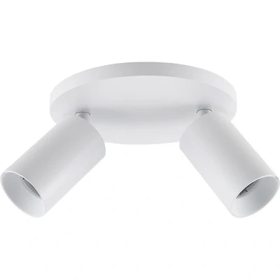 Afbeelding van CAN TILT plafondspot, wit, Ø 20 cm, 2 lamps, metaal, GU10